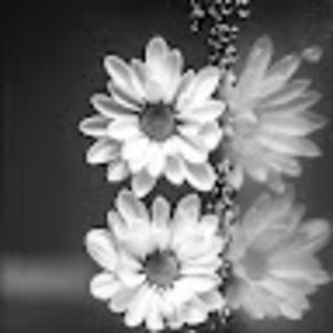 Meet your Posher, Kari